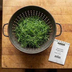 Florence Fennel, Microgreen Seeds
